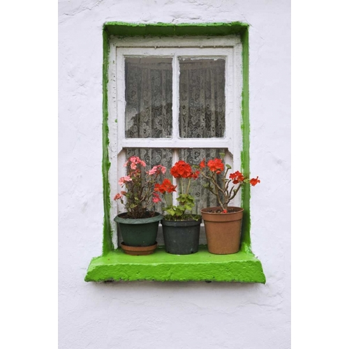 Ireland, Cashel Potted flowers on a window sill